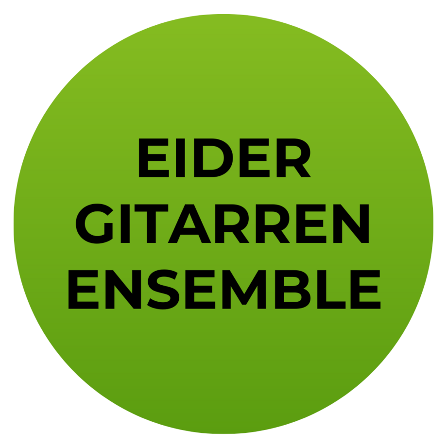 Link zum Kurs Eider-Gitarrenensemble